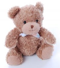Carters Prestige Tykes TEDDY BEAR Baby Rattle Lovey Stuffed Toy NEW